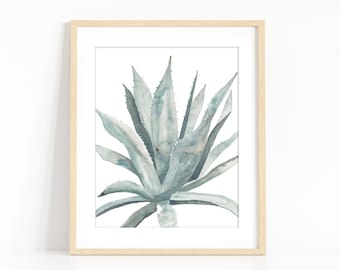 Agave I