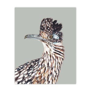 Pu&ograve; includere: Un dipinto ad acquerello di un roadrunner con uno sfondo grigio chiaro. L'uccello ha un becco lungo e appuntito, una cresta nera e bianca e piume marroni e bianche.