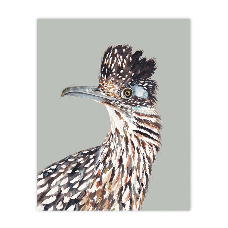 Pu&ograve; includere: Un dipinto ad acquerello di un roadrunner con uno sfondo grigio chiaro. L'uccello ha un becco lungo e appuntito, una cresta nera e bianca e piume marroni e bianche.