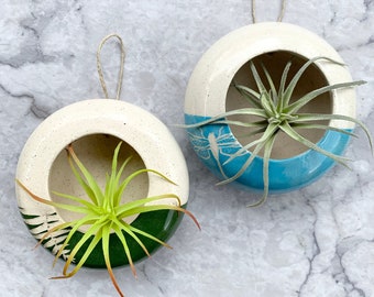 Hanging Air Plant Pod