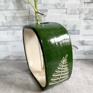 Fern propagation vase