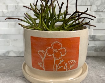 California Poppy Planter, medium