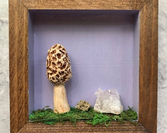 Morel mushroom with crystals, shadow box - Ceramic