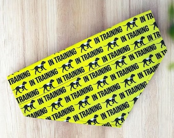 Training Dog Bandana, Nervous Reactive Dog Collar Accessory