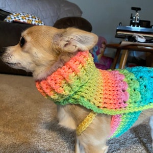 May include: A small, light brown chihuahua wearing a multi-colored crocheted sweater. The sweater is a rainbow of colors, including pink, green, yellow, and blue.