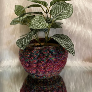 Peut inclure: Une petite plante en pot avec des feuilles vertes dans un pot crocheté coloré. Le pot est fait d'un fil épais et texturé dans des tons de rouge, violet, vert et bleu.