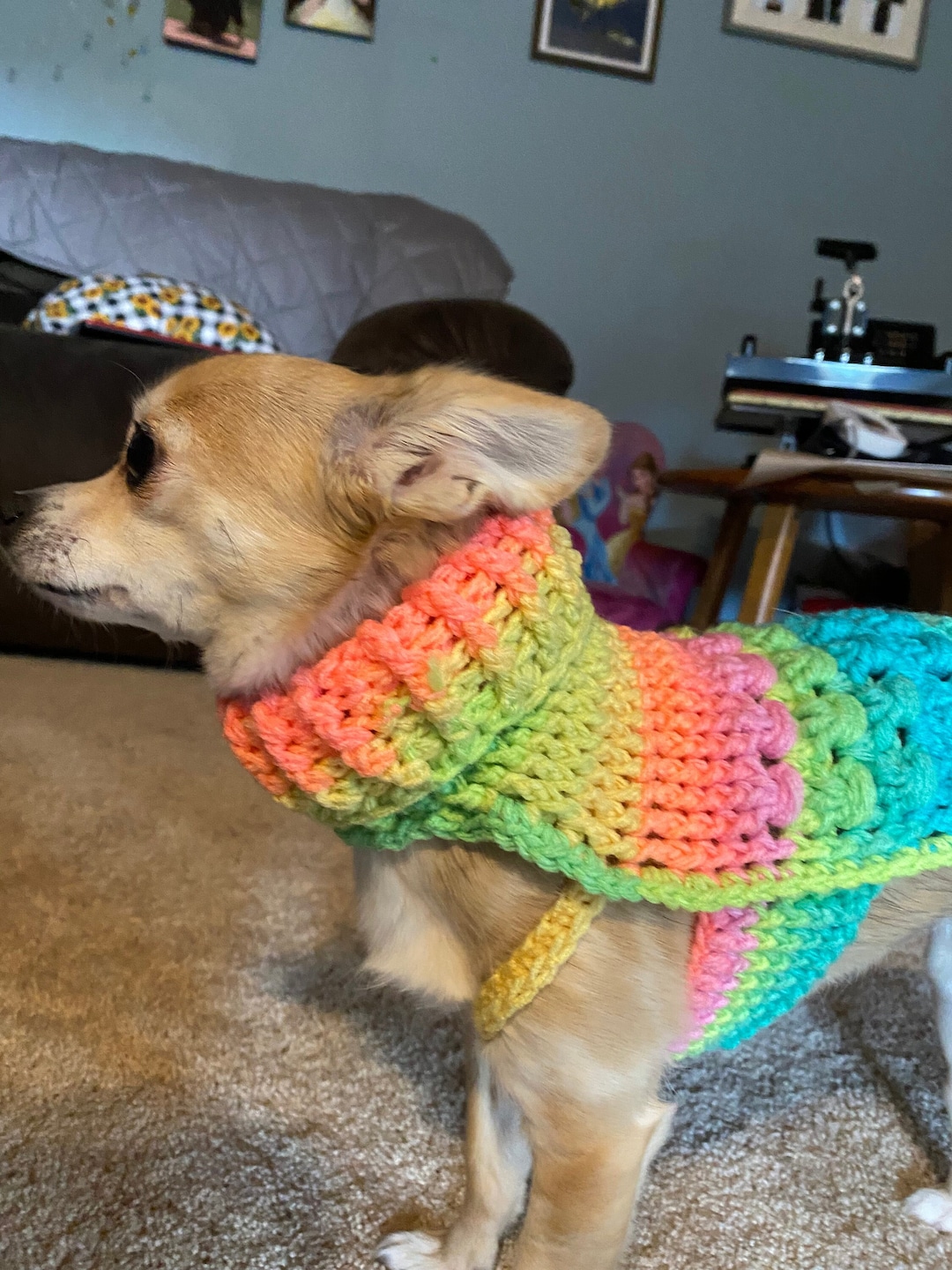 PATTERN Chihuahua Sweater Crochet Etsy