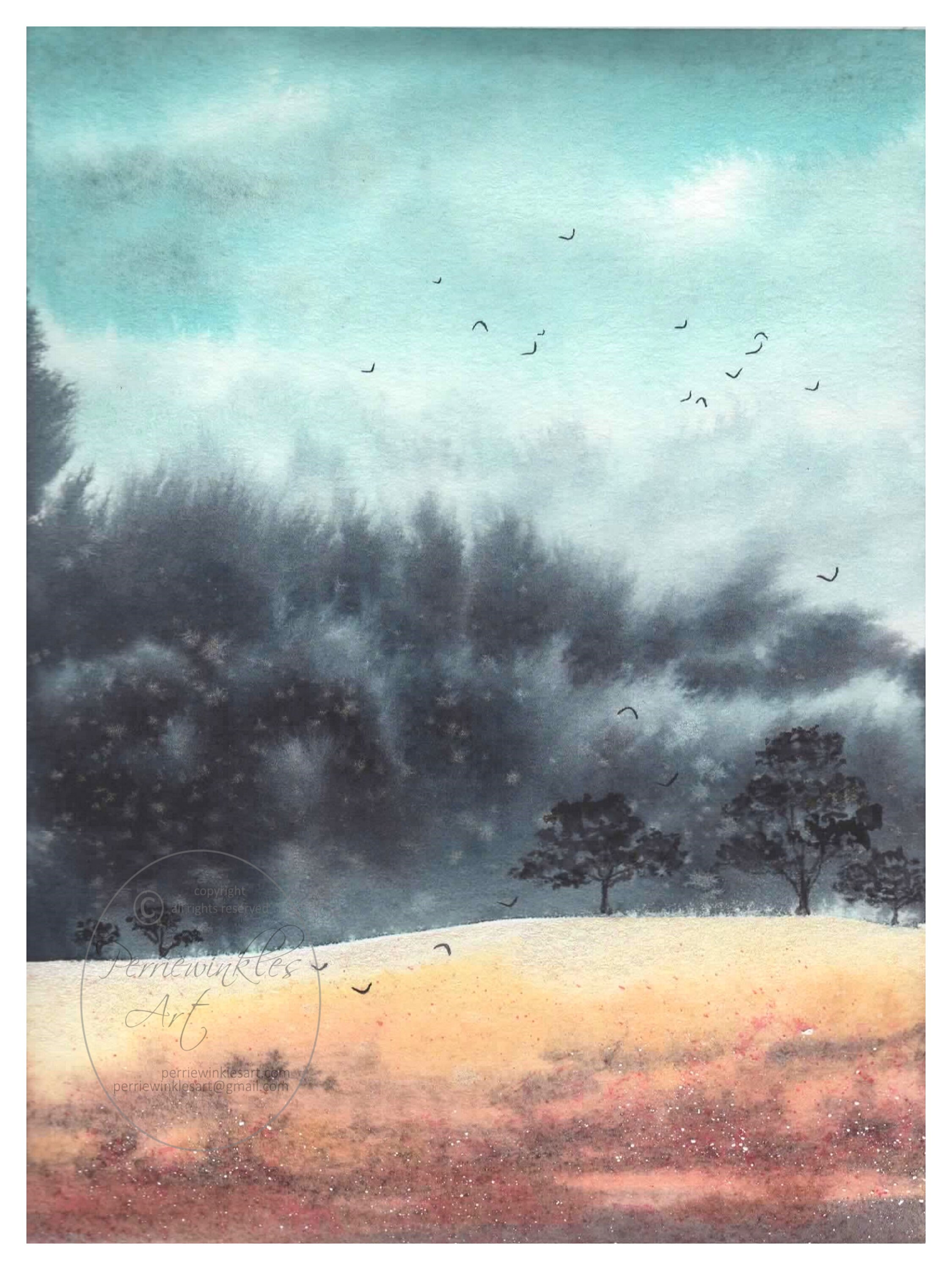 Miread M. Platt 水彩画 ジャングル植物 Encountering the Amazon through Margaret Mee's Lens