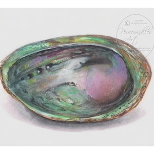 May include: A close-up of a green, iridescent abalone shell with a pearlescent interior. The shell has a smooth, rounded shape and a slightly rough texture.
