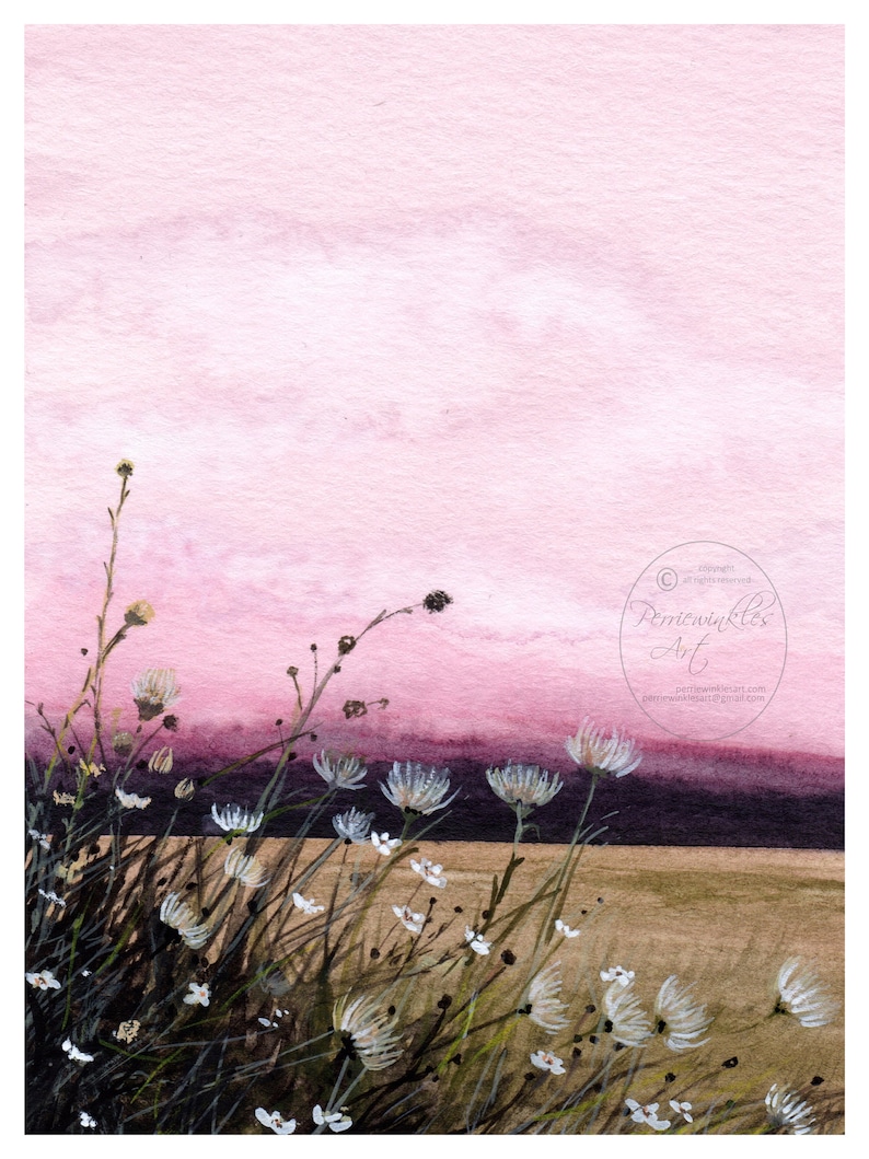 Puede incluir: Una pintura de acuarela de un campo de flores silvestres blancas en primer plano con una puesta de sol rosa y p&uacute;rpura en el fondo. La pintura est&aacute; firmada "Periwinkles Art" en la esquina inferior derecha.