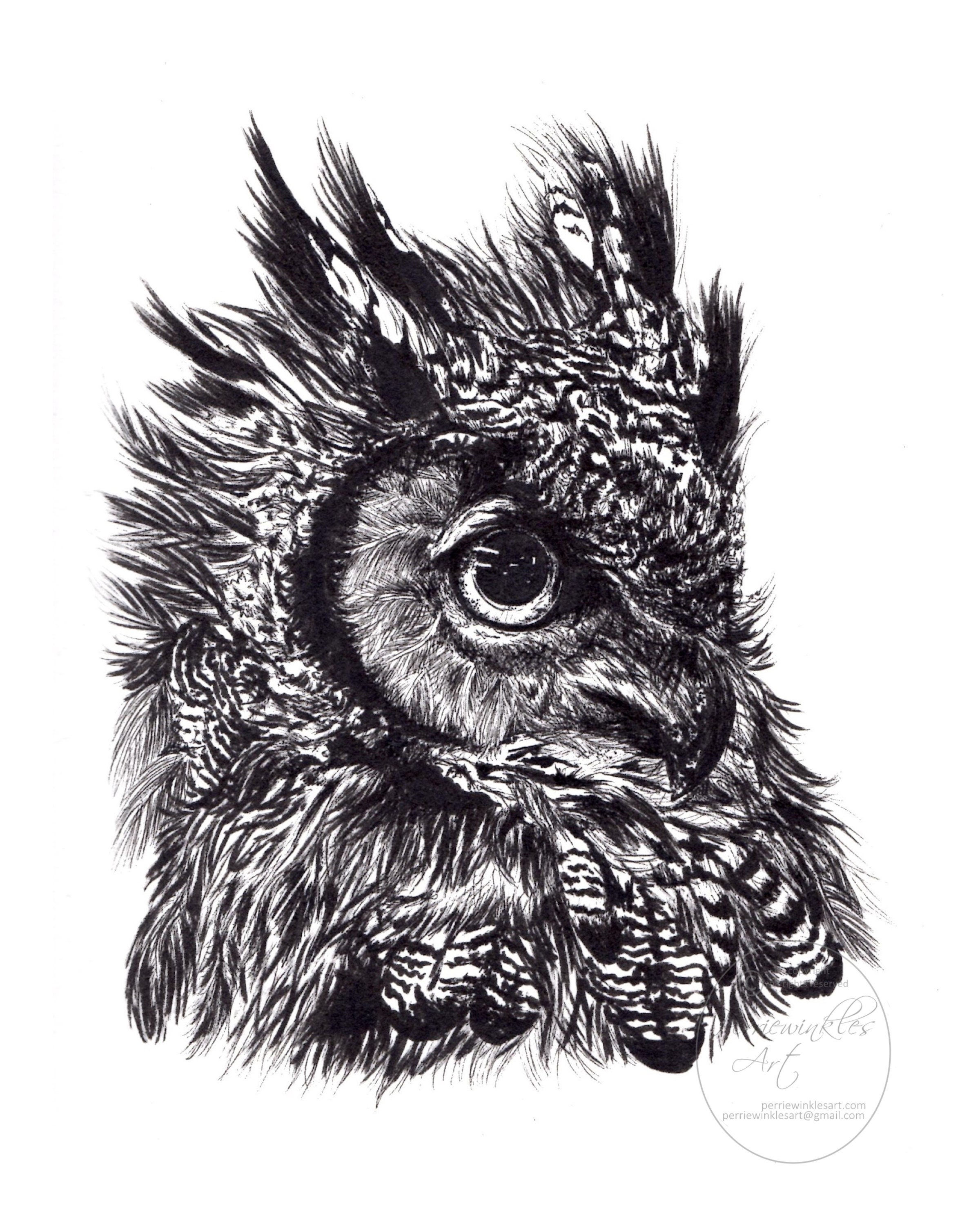 Owl Express - 0lyepvo