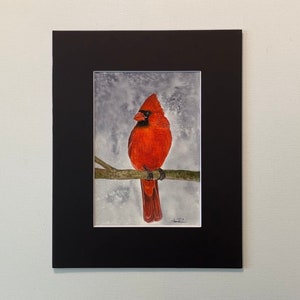 Original watercolor - NOT a Print, artwork bird Cardinal cute nc small animal realistic birds gift wrapped matted 5x7 8x10 art perriewinkles