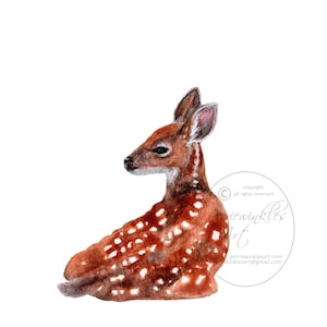 Cute deer fawn doe painting home nursery kids childrens room realistic watercolor animal baby shower theme fine art prints by perriewinkles