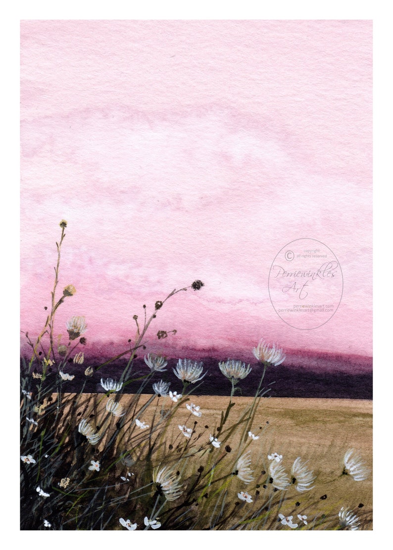 Puede incluir: Una pintura de acuarela de un campo de flores silvestres blancas en primer plano con una puesta de sol rosa y p&uacute;rpura en el fondo. La pintura est&aacute; firmada "Perniewinkles Art" en la esquina inferior derecha.