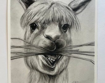 Original Drawing -NOT a print, llama art drawing painting llamas cute funny farm animal art charcoal artwork 8x10 drawings by Perriewinkles