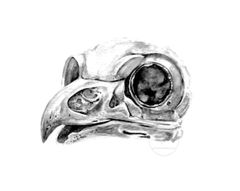 Pintura de aves, arte de aves, arte del cráneo, cráneo de pájaro, impresiones de arte, impresiones de animales, cráneo animal, cráneos, bellas artes, pintura de acuarela, perriewinkles