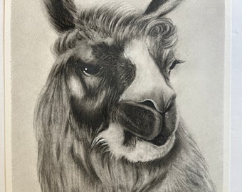 Original Drawing -NOT a print, llama art drawing painting llamas cute funny farm animal art charcoal artwork 8x10 drawings by Perriewinkles