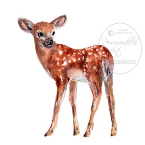 Cute deer fawn doe painting home nursery kids childrens room realistic watercolor animal baby shower theme fine art prints by perriewinkles
