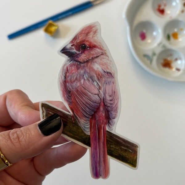 Pink Cardinal vinyl waterproof art sticker realistic drawing watercolor painting animal bird birds unique artist stickers by perriewinkles