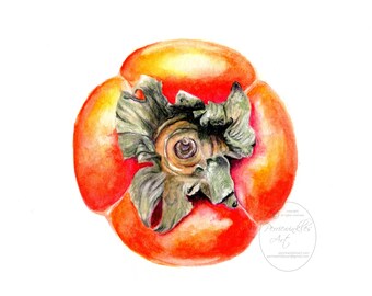 Still life painting, kitchen art, persimmon, fruit painting, fruit, Fine Art Prints, Art, Watercolor Painting, Fine art Print, Perriewinkles