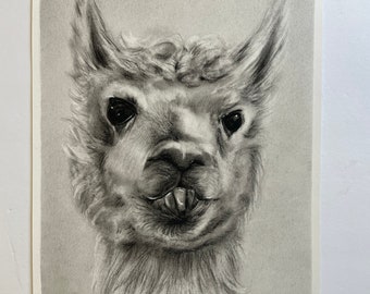 Original Drawing -NOT a print, llama art drawing painting llamas cute funny farm animal art charcoal artwork 8x10 drawings by Perriewinkles