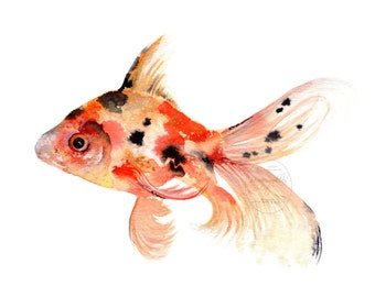 Watercolor Fish Animal Fisher Aquarium Ocean Trout Fishing | Etsy