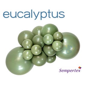 SEMPERTEX Eucalyptus  Balloons, SAGE Green Balloons, Sempetex Dusty Green Balloon, Boho Bridal Shower, Green Baby Shower, Sage Wedding Decor
