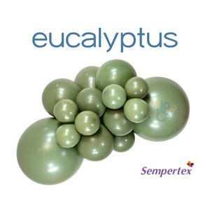 SEMPERTEX Eucalyptus  Balloons, SAGE Green Balloons, Sempetex Dusty Green Balloon, Boho Bridal Shower, Green Baby Shower, Sage Wedding Decor