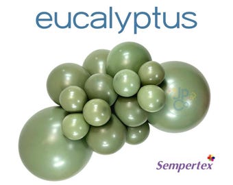 SEMPERTEX Eucalyptus  Balloons, SAGE Green Balloons, Sempetex Dusty Green Balloon, Boho Bridal Shower, Green Baby Shower, Sage Wedding Decor