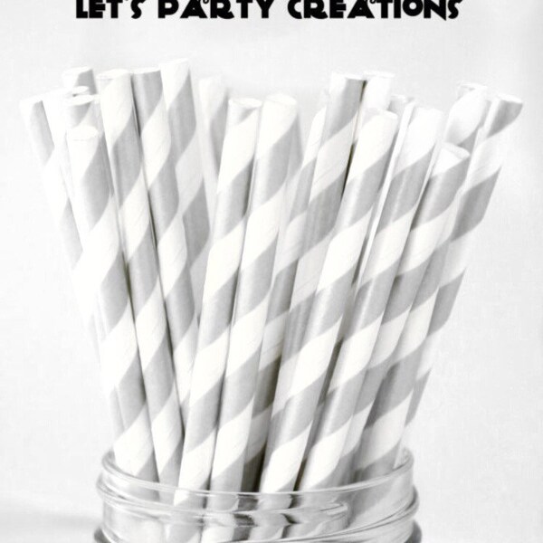 Silver Paper Straws Etsy