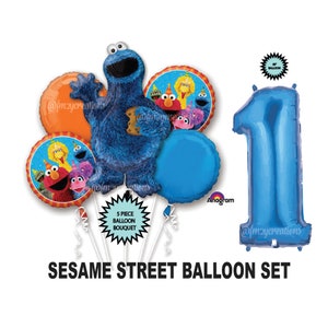 Sesame Street Birthday Party | Sesame Street Cookie Monster Birthday Balloons Elmo PARTY Decor | 1st Birthday Party | Elmo Birthday