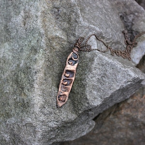 Acacia Necklace, Electroformed Botanical Pendant, Cottagecore Jewelry, Mystical Protection Talisman, Nature Amulet