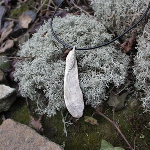 May include: A pendant necklace featuring a light gray, teardrop-shaped pendant suspended from a black cord. The pendant has a textured surface and is set against a backdrop of gray moss and green foliage.