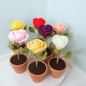 Crochet Rose, Crochet Flower in Pot, Red Rose, Pink Rose