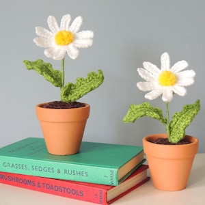 Crochet Daisy, Crochet Flower in Pot, Crochet flower