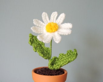 Crochet Daisy, Crochet Flower in Pot, Crochet flower