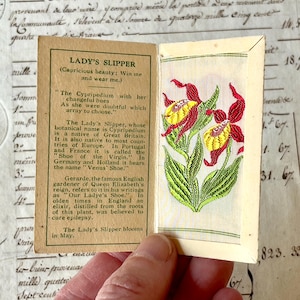 Kensitas Vintage Pequena Flor de Seda - Sapatinho de Senhora - Cartão de Cigarro - Por volta da década de 1930.