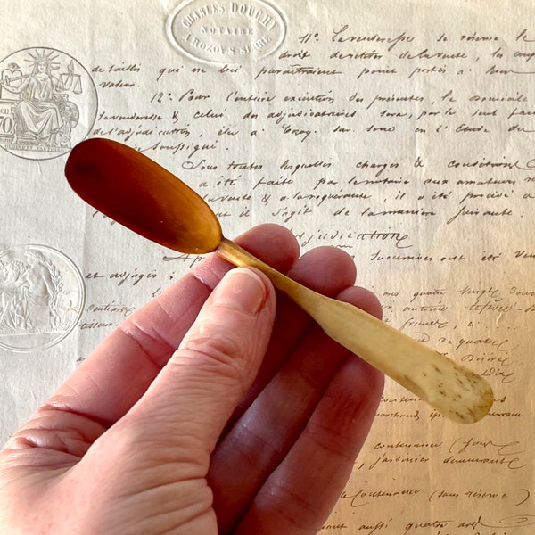 Antique Bone Spoon - Hand-Carved Bovine Bone - Medicine Spoon/Condiment Spoon - Victorian/1800's.