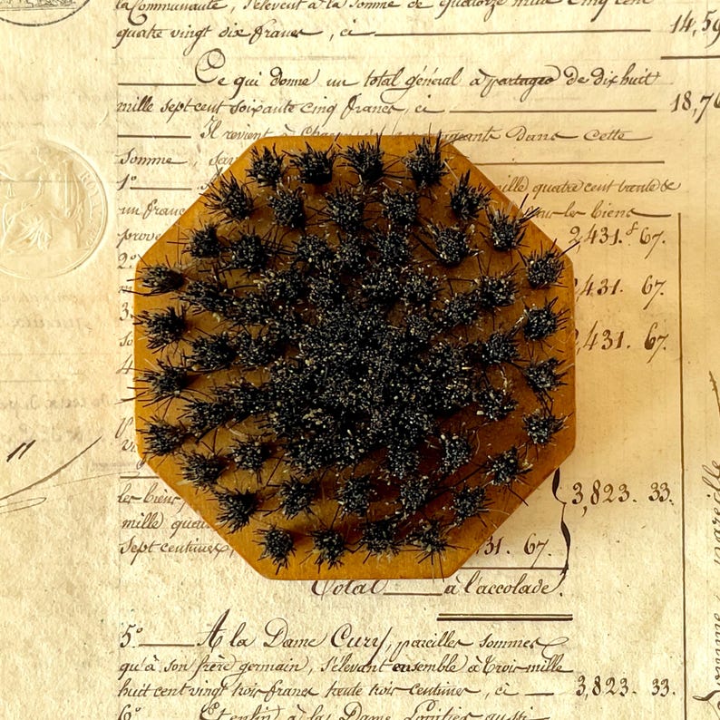 May include: A circular brush with a light brown wooden base and dense, stiff black bristles arranged in a radial pattern. The brush features a flat, smooth top surface and a textured underside with numerous tufts of dark, coarse hair.