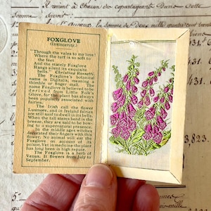 Kensitas Vintage Pequena Flor de Seda - Dedaleira - Cartão de Cigarro - Por volta da década de 1930.