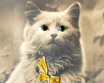 Antique/Vintage Glass Eye Cat Postcard/Picture - Cat Postcard/Picture - Circa 1910's-1920's.