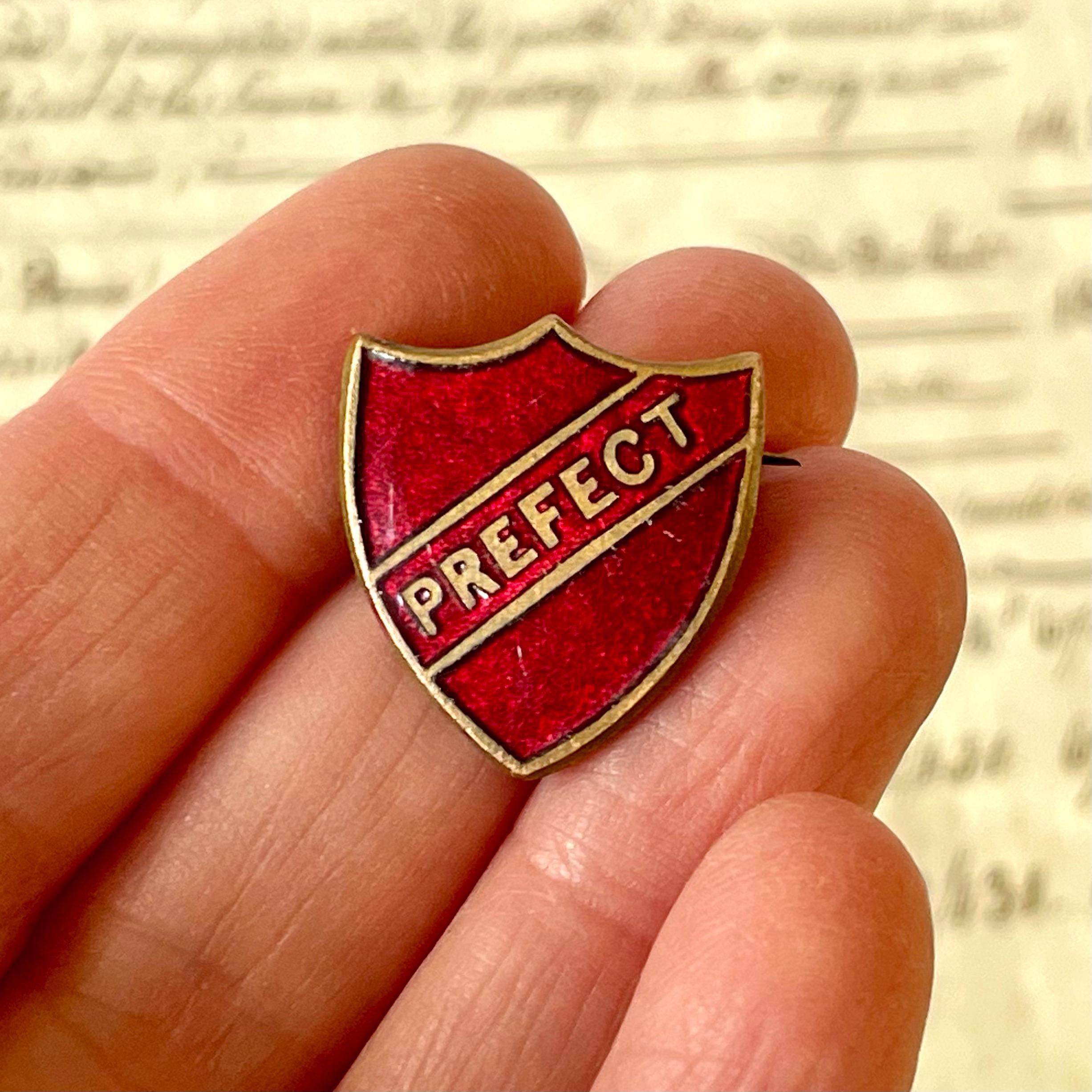 Afscme Pin - Etsy Custodial Supervisors AFSCME DC 37 Vintage Enamel Pin - Red & Goldtone B468 display picture 1