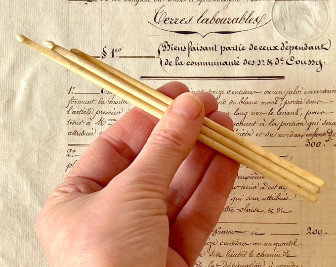 Antique Bone Crochet Hooks Trio of Hand Carved Ox bone Work Box