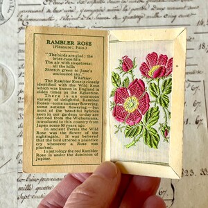 Kensitas Vintage Pequena Flor de Seda - Rambler Rose - Cartão de Cigarro - Por volta da década de 1930.