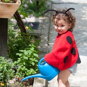 Ladybug Costume, Toddler Girl Halloween Costume, Ladybird Red Cape Costume, Gift for Preschool Girl image 2