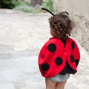 Ladybug Costume, Toddler Girl Halloween Costume, Ladybird Red Cape Costume, Gift for Preschool Girl image 1