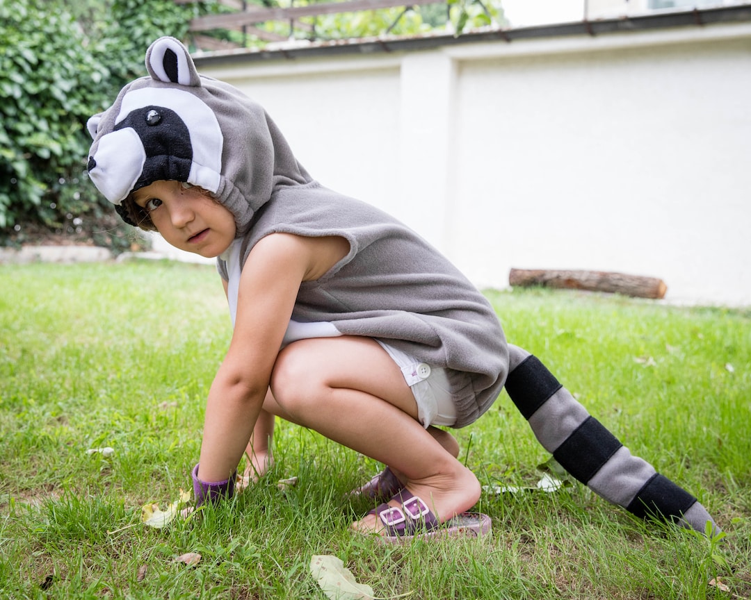 Raccoon costume discount