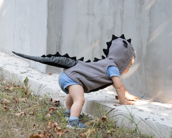Dinosaur Costume, Halloween Costume, T-rex Costume, Party