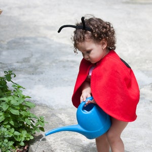 Ladybug Costume, Toddler Girl Halloween Costume, Ladybird Red Cape Costume, Gift for Preschool Girl image 3