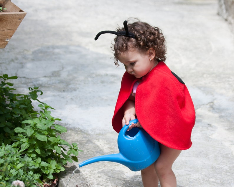 Ladybug Costume, Toddler Girl Halloween Costume, Ladybird Red Cape Costume, Gift for Preschool Girl image 3